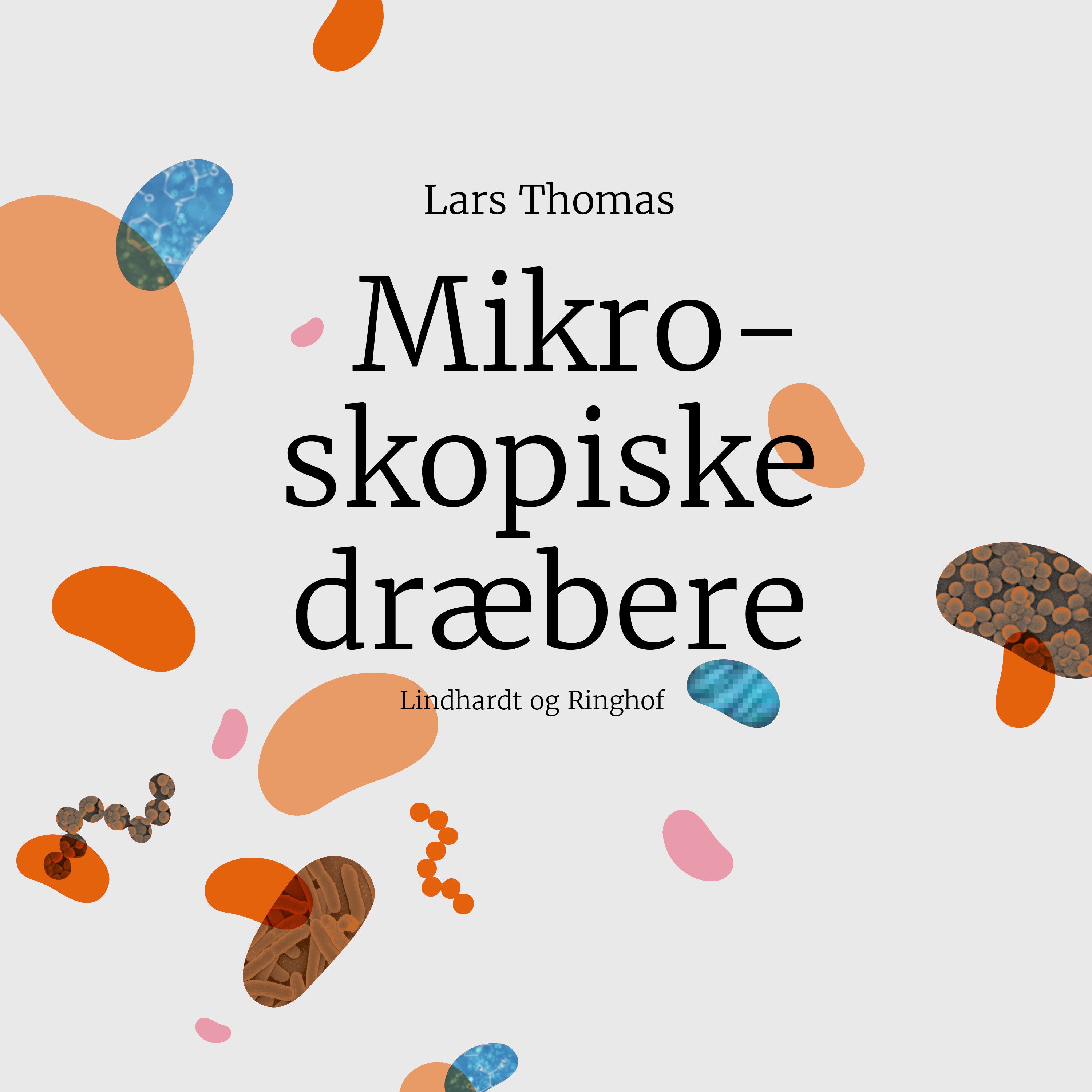 Forside billede